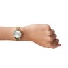 13987 3 skagen anita lille damske hodinky skw2150