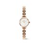 15655 jpg original white dw00100854 petite mini arch 3 link white rose gold 01