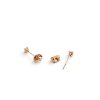 DW00401965 Mirelle Solitaire Stud Earrings RG 03 4000x5000
