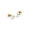 DW00401955 Pearl Stud Earrings G 02 4000x5000