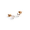 DW00401956 Pearl Stud Earrings RG 02 4000x5000