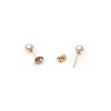 DW00401956 Pearl Stud Earrings RG 03 4000x5000
