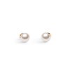 DW00401956 Pearl Stud Earrings RG 01 4000x5000