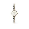 DW00100923 Petite Mini 19 Arch 3 Link White Two Tone G S 01 4000x5000