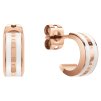 2700 7 daniel wellington ocelove nausnice dw00400148