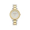 3147 2 anne klein hodinky ak 3751svtt