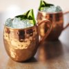 3852 1 forrest love medeny hrnek moscow mule mm4