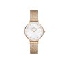 5421 1 daniel wellington petite 28 lumine dw00100590