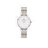 Daniel Wellington watch PETITE LUMINE DW00100616