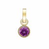 7109 1 rosefield privesek zlate barvy birthstone february color
