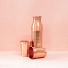 Forrest & Love GSP copper bottle and mug set