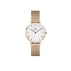 Daniel Wellington dámské hodinky mesh Petite Melrose kulaté DW00100681