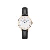 9195 5 daniel wellington damske hodinky petite sheffield kulate dw00100683