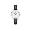 9204 5 daniel wellington damske hodinky petite sheffield kulate dw00100686