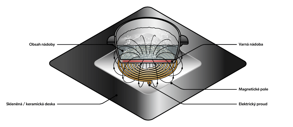 schema-funkce-indukce