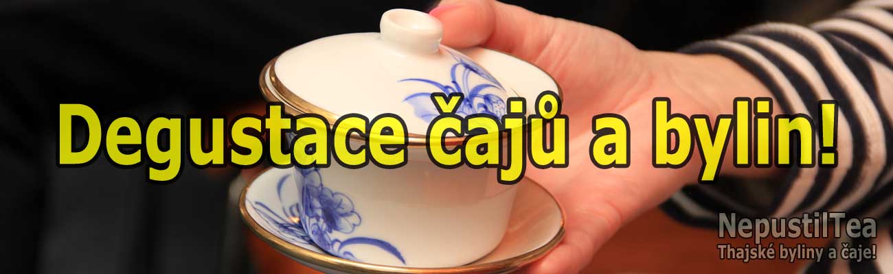 degustace-caju-a-bylin-Nepustil-Tea-cz