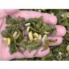2021 Thajský polozelený čaj s citronelou - rolovaný - bio