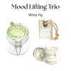 Mood Lifting Trio - povzbuzující wellness set