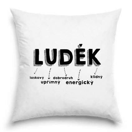 Polštář Luděk