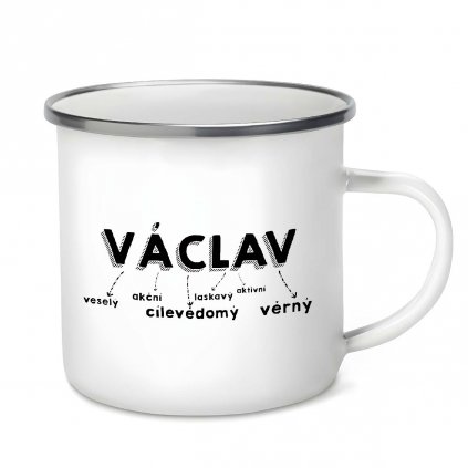 Plecháček Václav