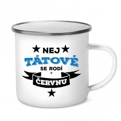 Plecháček Nej tátové se rodí v červnu