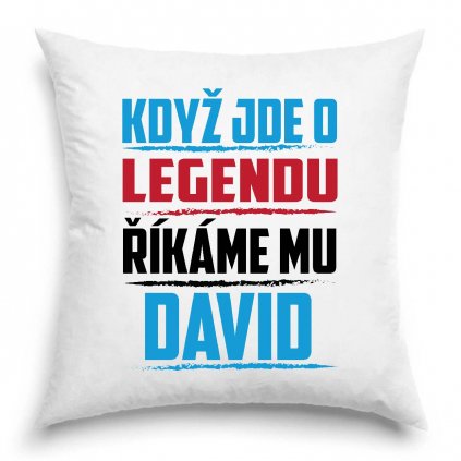 Polštář Když jde o legendu říkáme mu David