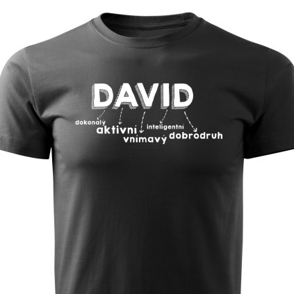Pánské tričko David černá