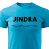 Pánské tričko Jindra tyrkysové