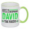 Hrnek Když to neopraví David, tak nikdo - zelený