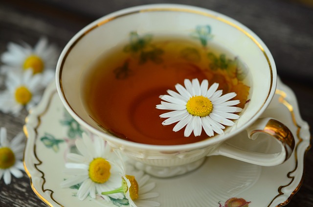 chamomile-829538_640