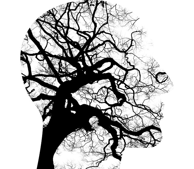 mental-health-2313430_640