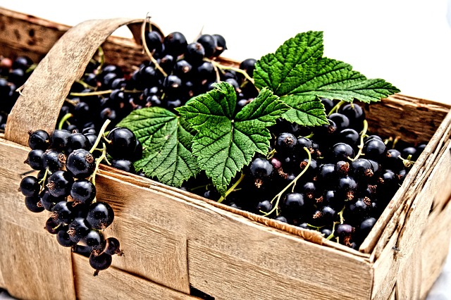 currant-2105600_640