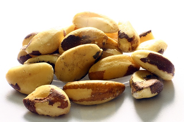 brazil-nut-638972_640
