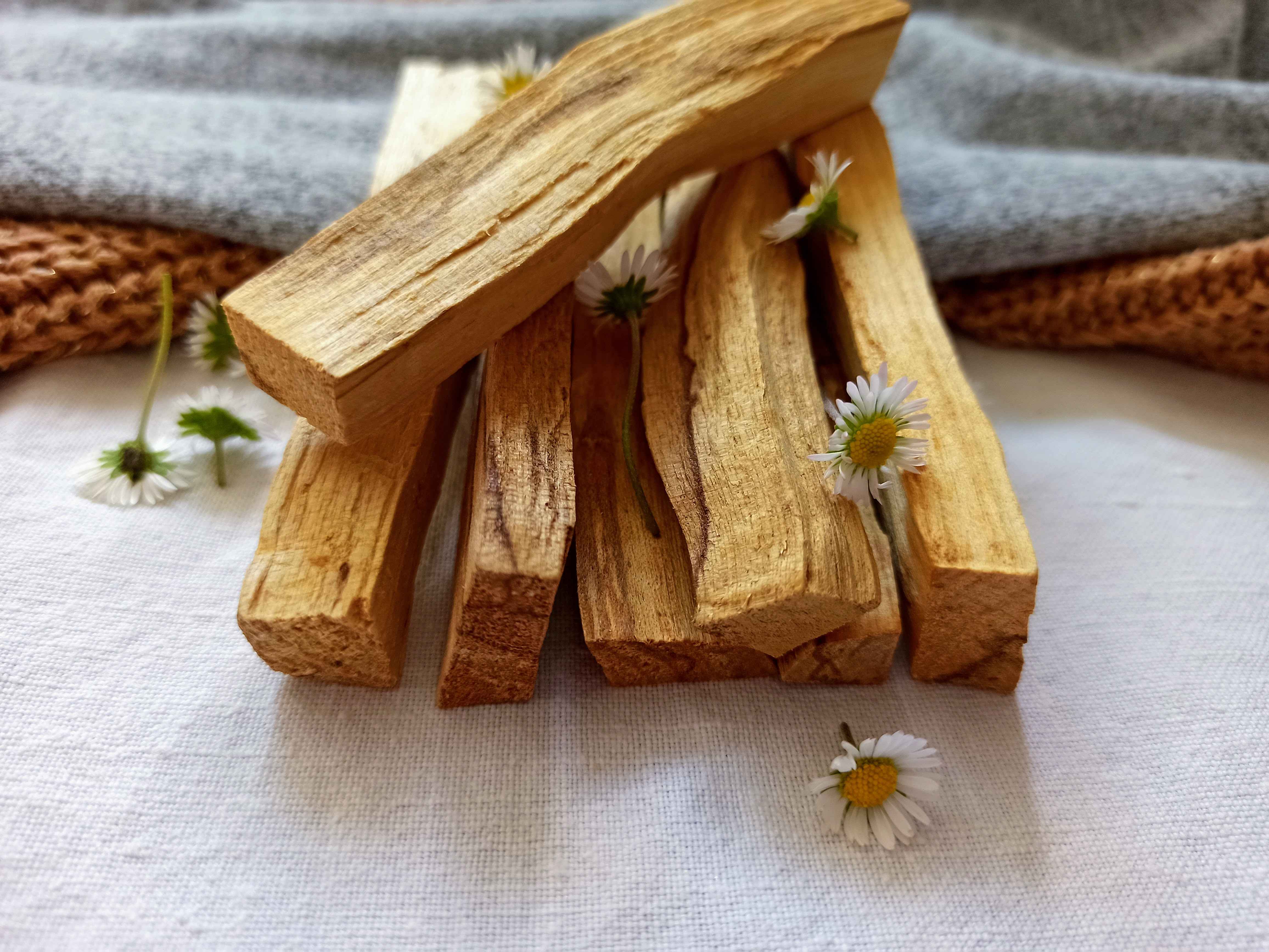 Palo Santo - očista prostor i přivolání štěstí