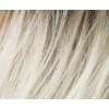 Barva Hair Power: lightchampagne rooted