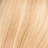 Barva Pure Power: sandyblonde rooted