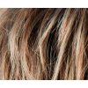 Barva Hair Power: lightbernstein rooted