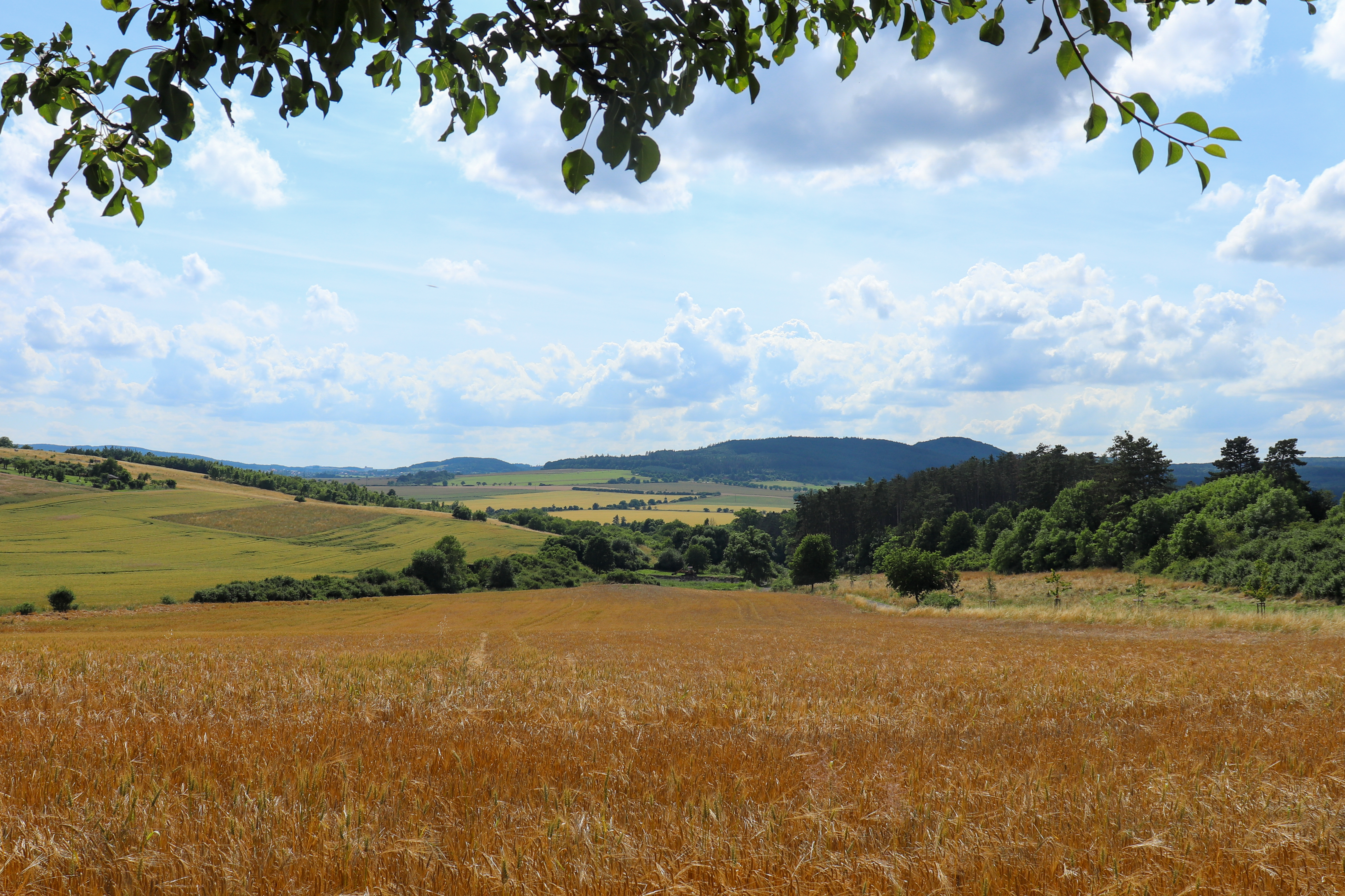 Jak vzniká kolekce Krajina mého srdce