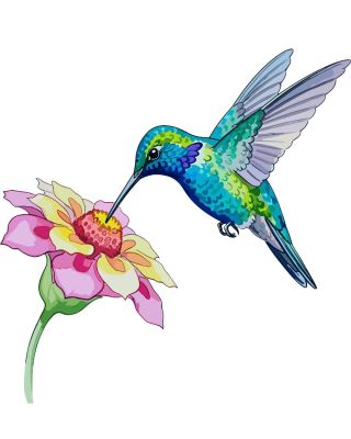 🐦 Na e-shopu přistála nová kolekce – Kolibřík! 🐦 A než kliknete, věděly jste, že... 🌟 Kolibřík mává křídly až 80× za...