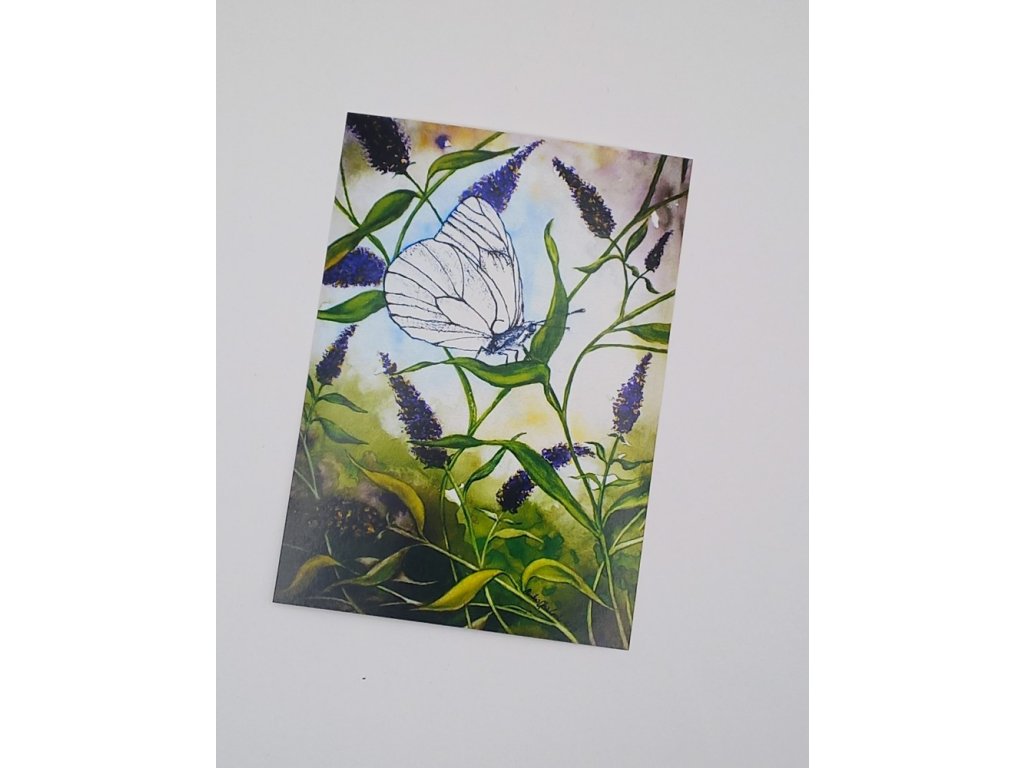 pohlednice s motýlem