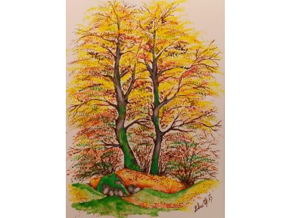 Proměny podzimu - obraz