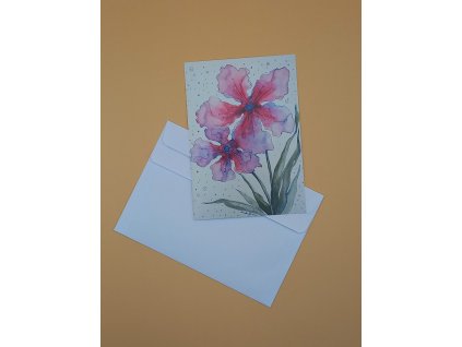 Blahopřání s originálním květinovým motivem