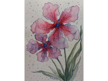 Obraz - Nachové květy