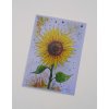 pohlednice s motivem slunečnice