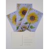 pohlednice se slunečnicí