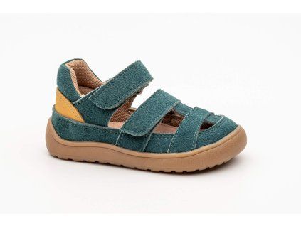 DIZYgreen20 26a27 35