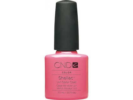 SHELLAC - gotcha 7,3 ml