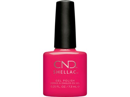 SHELLAC OFFBEAT