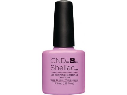 SHELLAC - beckoning begonia 7,3 ml