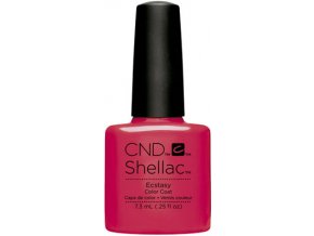 SHELLAC ECSTASY